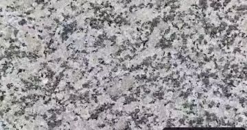 柳州 芙蓉白（芝麻白大花）火烧面