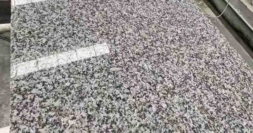 柳州 芙蓉白光面