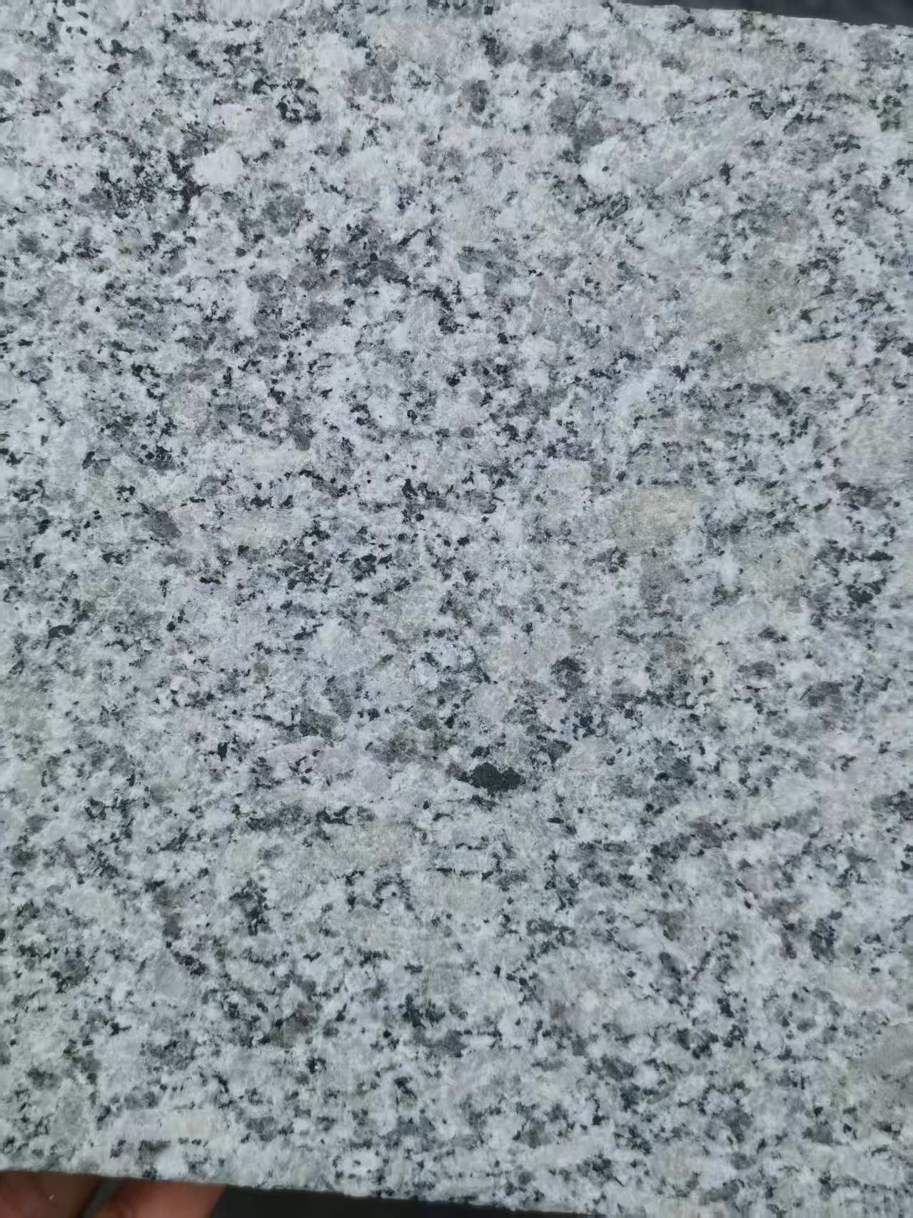柳州 芙蓉白火烧面