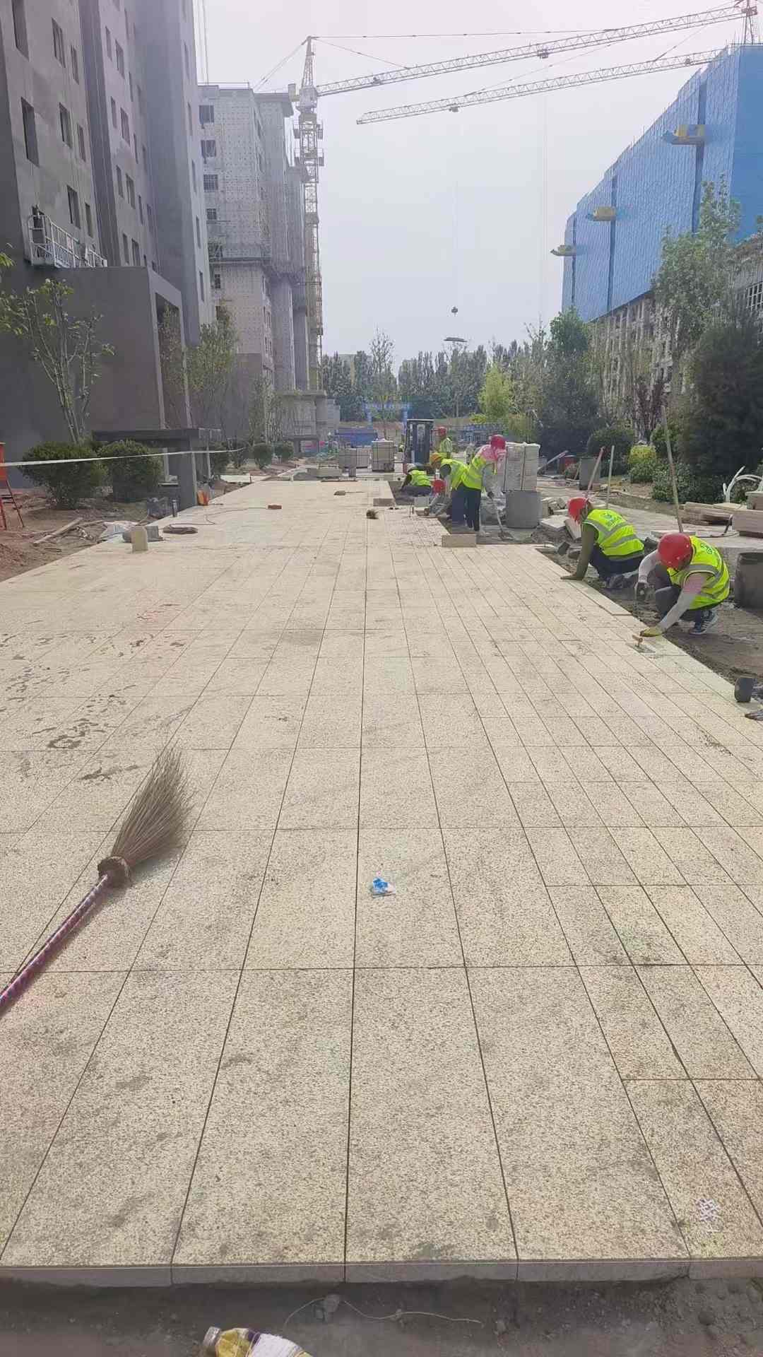 柳州黄金麻荔枝面地铺案例