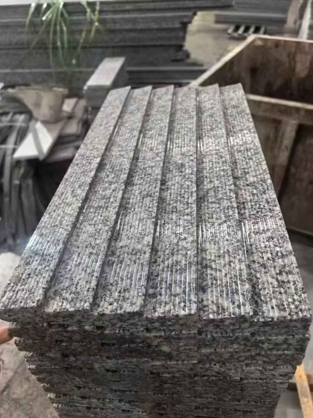 柳州 狼牙石