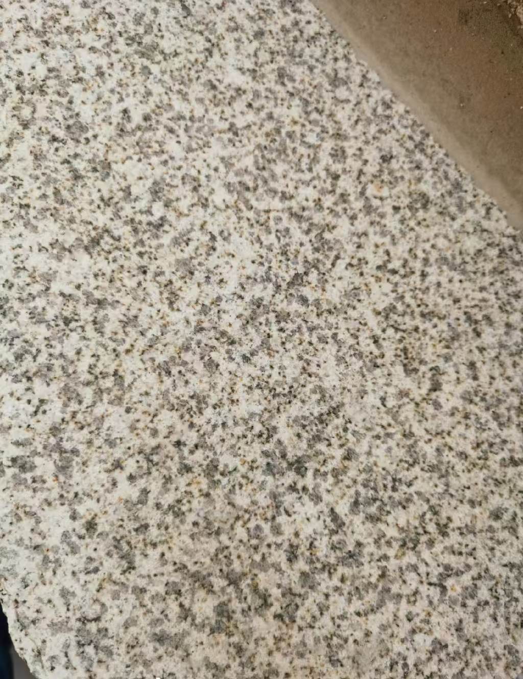 柳州 黄金麻中黄光面